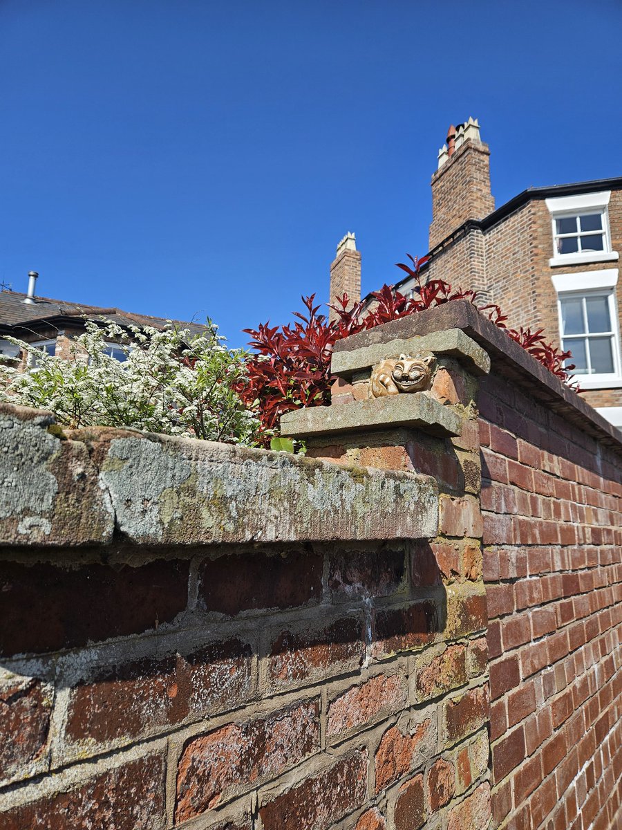 THE Chester Tour tweet media