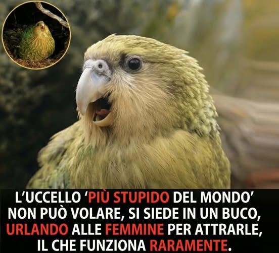 Mi pare l'esatta descrizione di un numero cospicuo di uomini... 😶