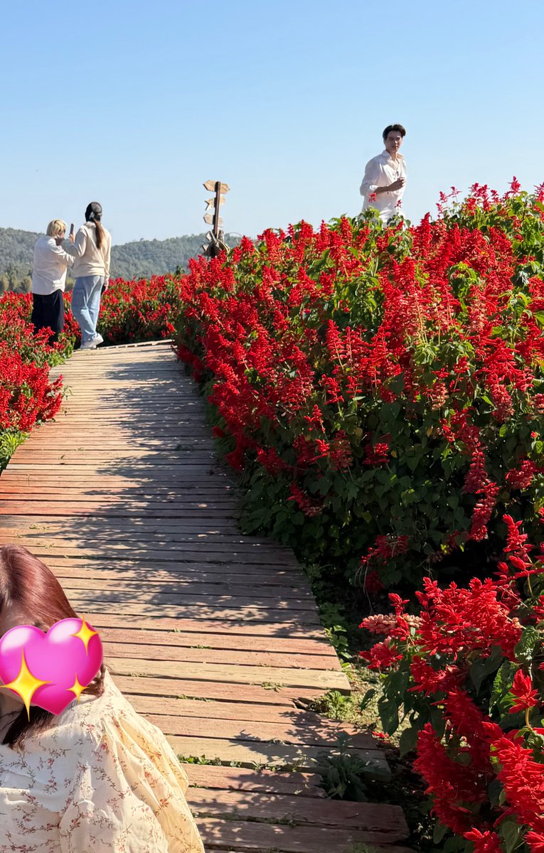 เก่ง แม่ขอหล่ะ
photo bomb แม่มาก เบเน 2:1 แบบใด55555