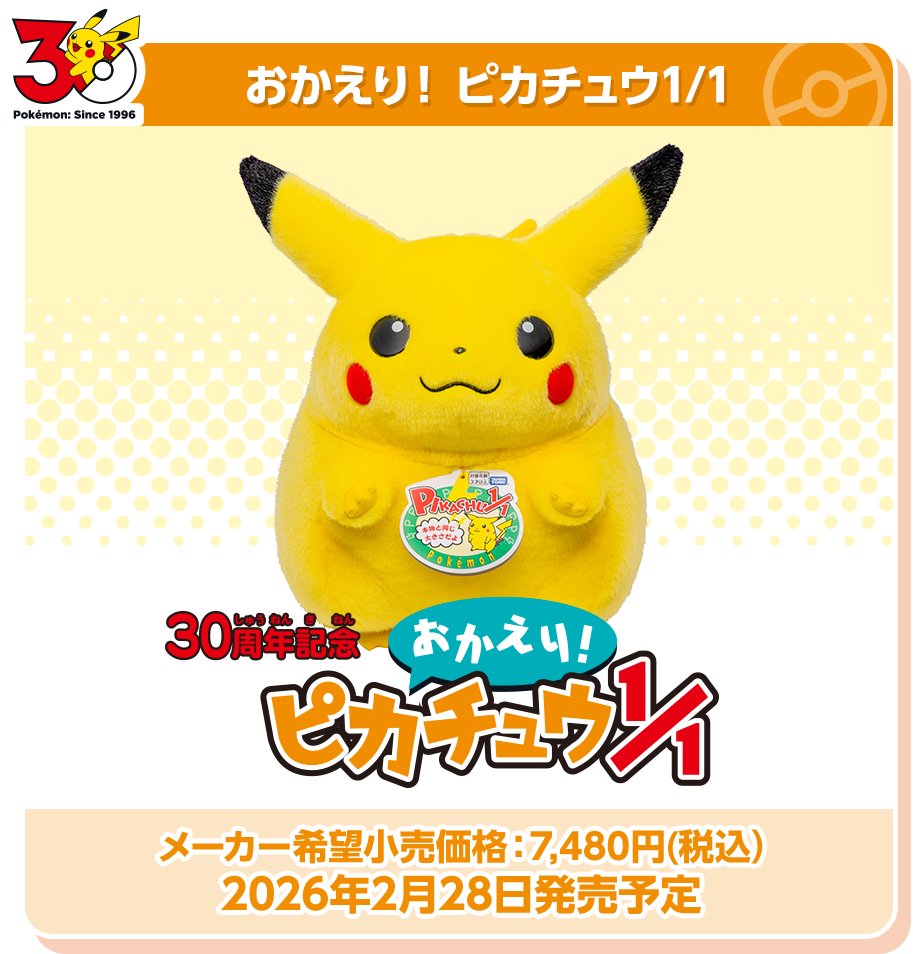ポケモン30周年】 ✓ぬいぐるみ おかえり！ピカチュウ1/1 ✓てのひら