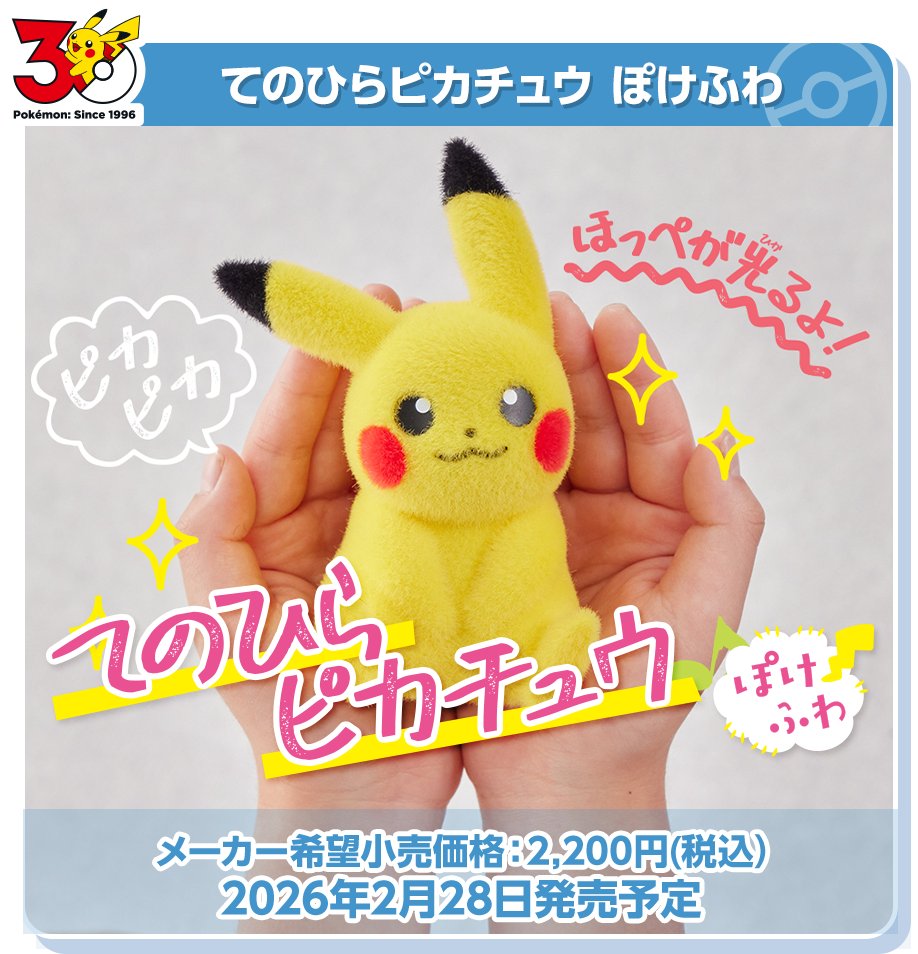 ポケモン30周年】 ✓ぬいぐるみ おかえり！ピカチュウ1/1 ✓てのひら