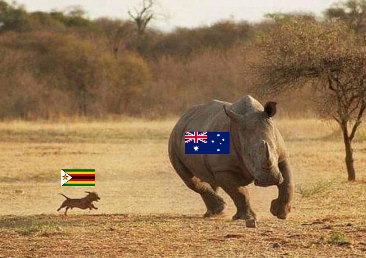 Cricket right now!