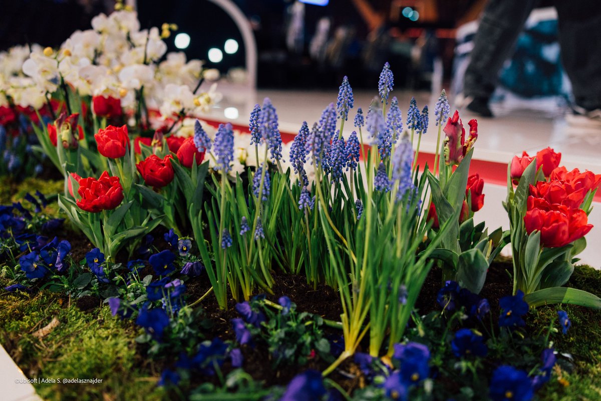 The first major esports stage with real flowers 🪻🥀