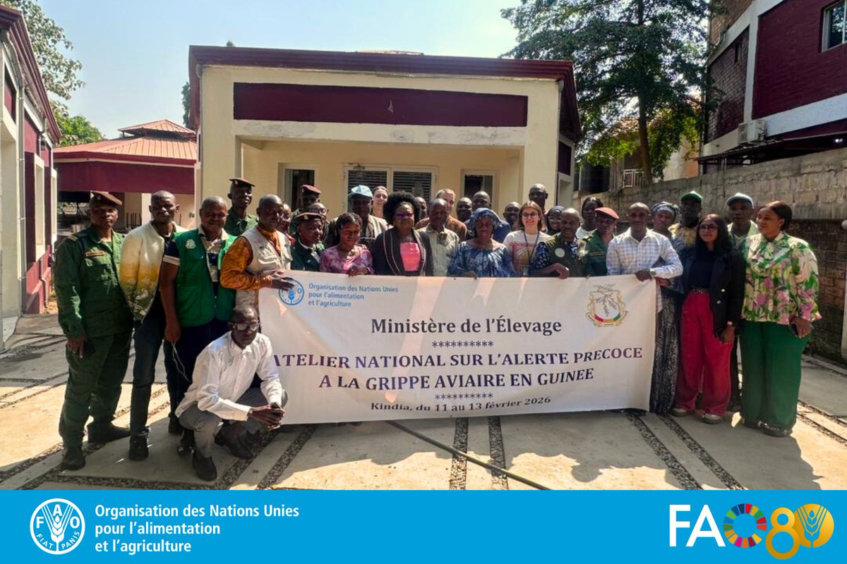 FAO Guinée tweet media