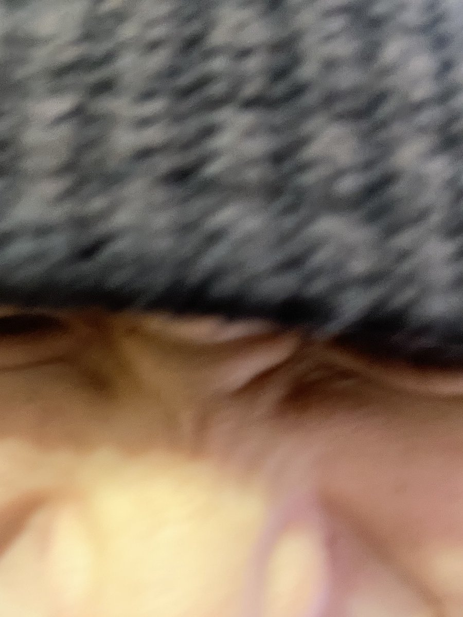 bmsg_trainee's tweet image. ⸜ ✉️ #LETTER_FROM_KANTA ✨ ⸝

「ちょっと携帯持ってて」って伝えたらこんな写真がありました。
かわいいねぇ😘

#KANTA #RAIKI
#BMSGTRAINEE #BMSG