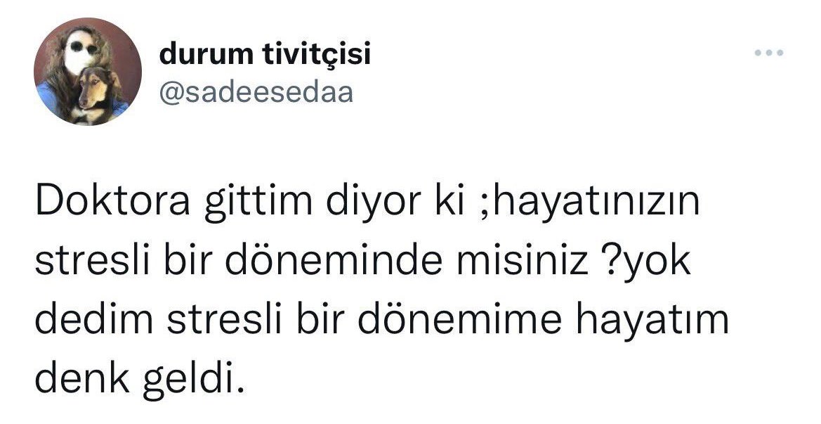 Academic Adventure (@academicadvent3) on Twitter photo 