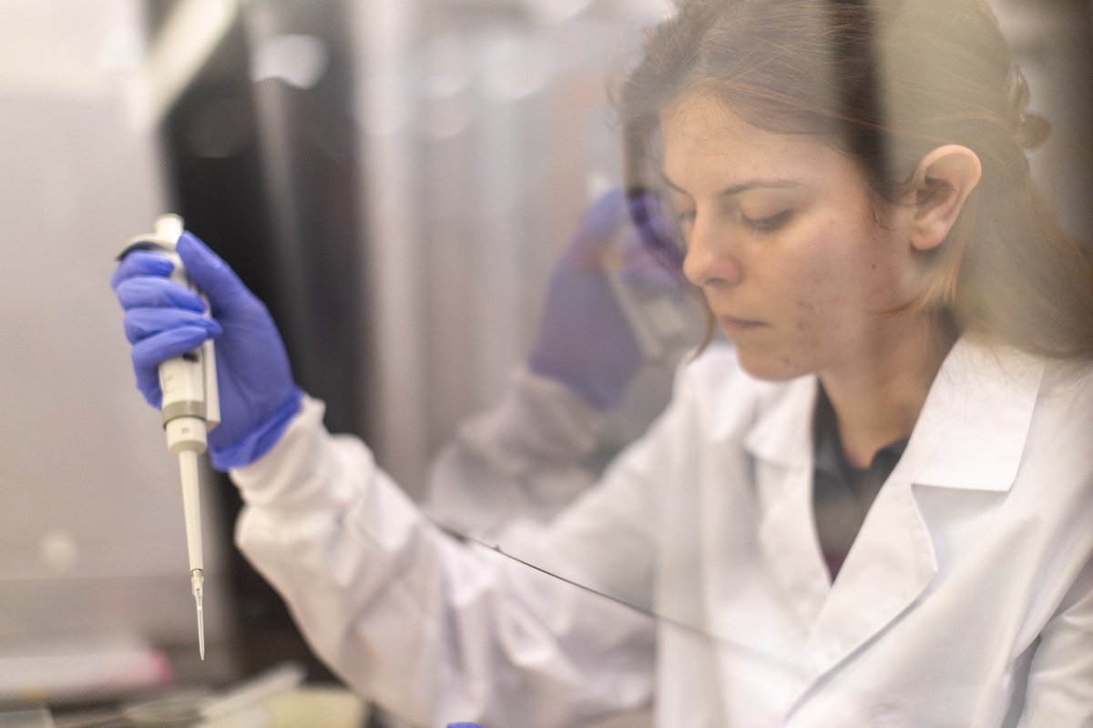 IMPORTACO tweet media