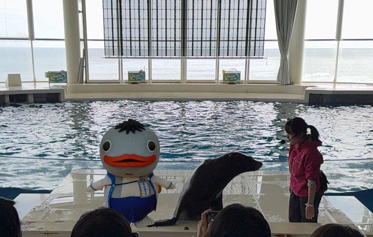 あんたろうちゃんと ～マンボウ∈(°θ° )∋ ～サメ🦈😱 ～アシカ