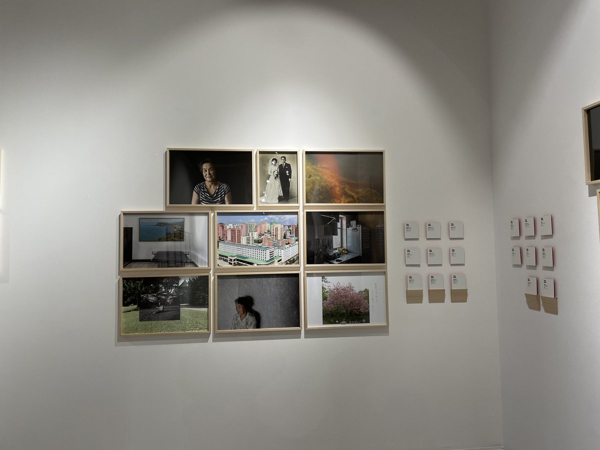 Discover Trieste tweet media