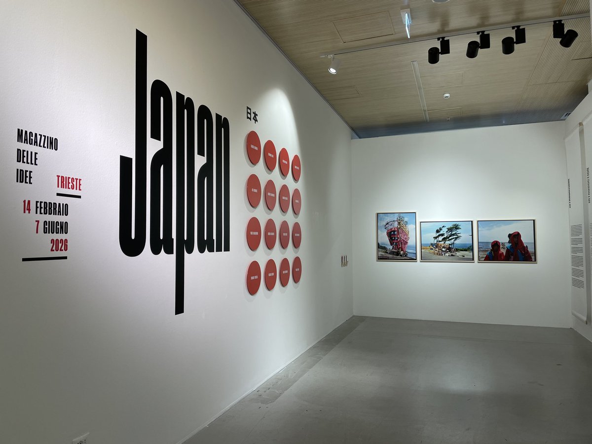 Discover Trieste tweet media