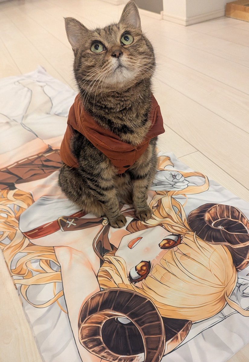 PEKO (@ab_peko) / Posts / X