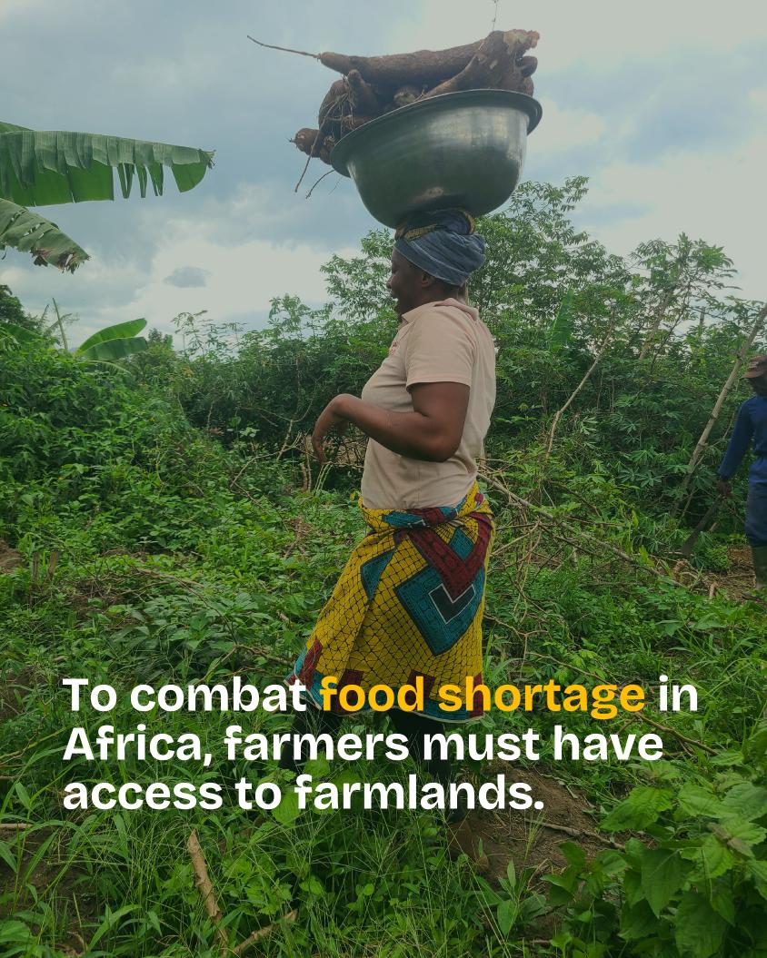 You can hand a farmer seeds.
But what happens when the land is no longer theirs?

Across rural Nigeria, farms are becoming estates.
Concrete is replacing crops.

Food security doesn’t start in the market.
It starts with land that won’t disappear.

If rural land isn’t protected,