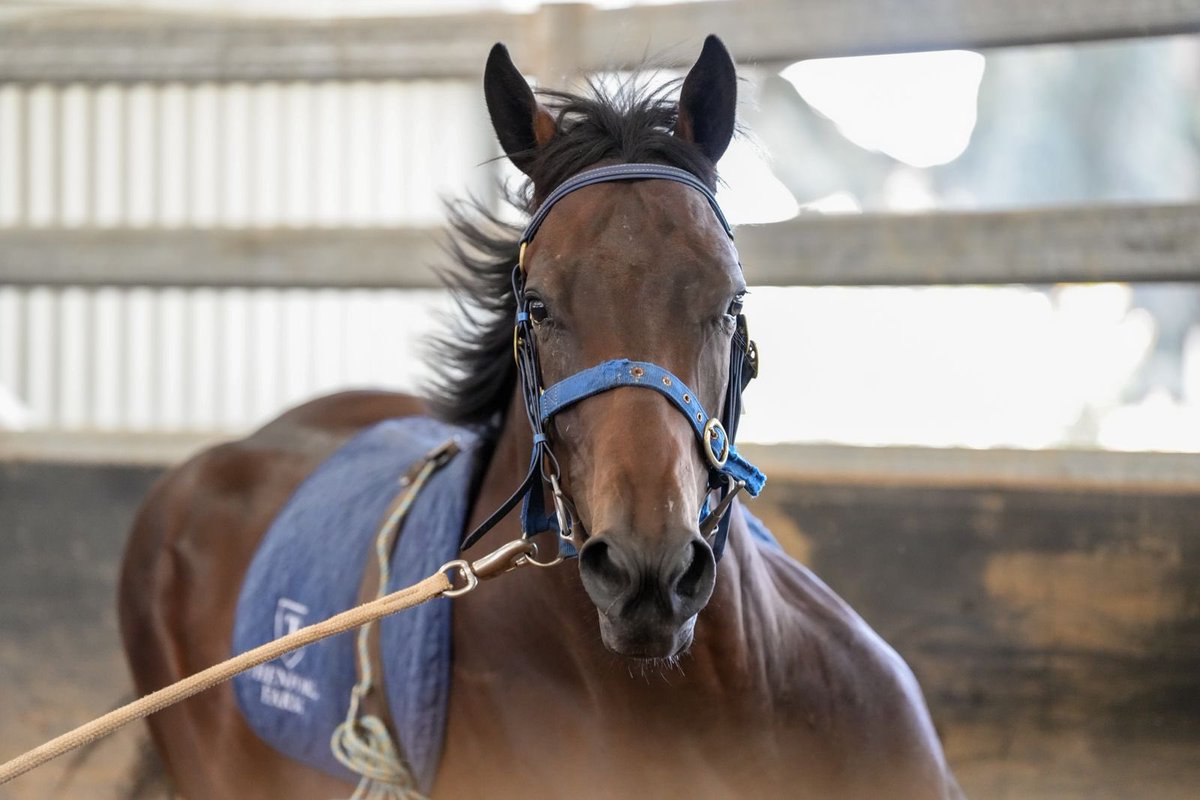 Michael Freedman Racing tweet media