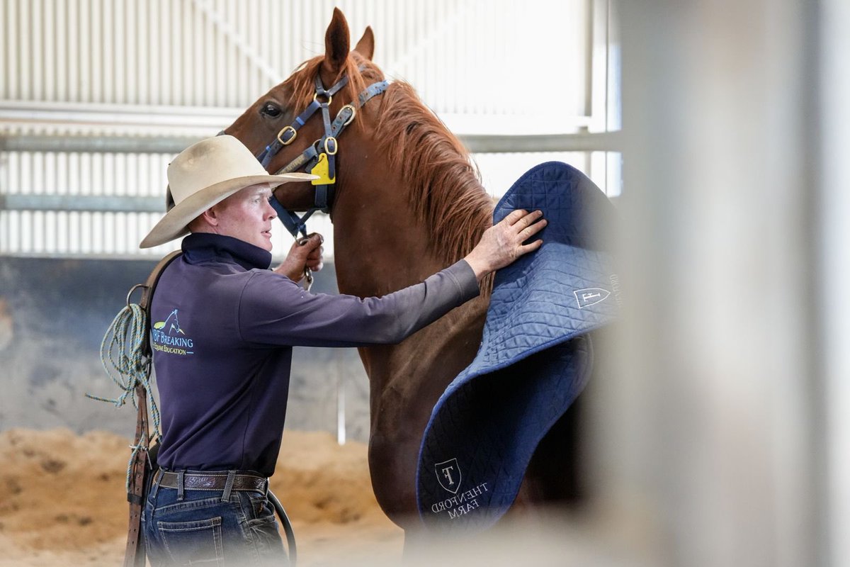 Michael Freedman Racing tweet media