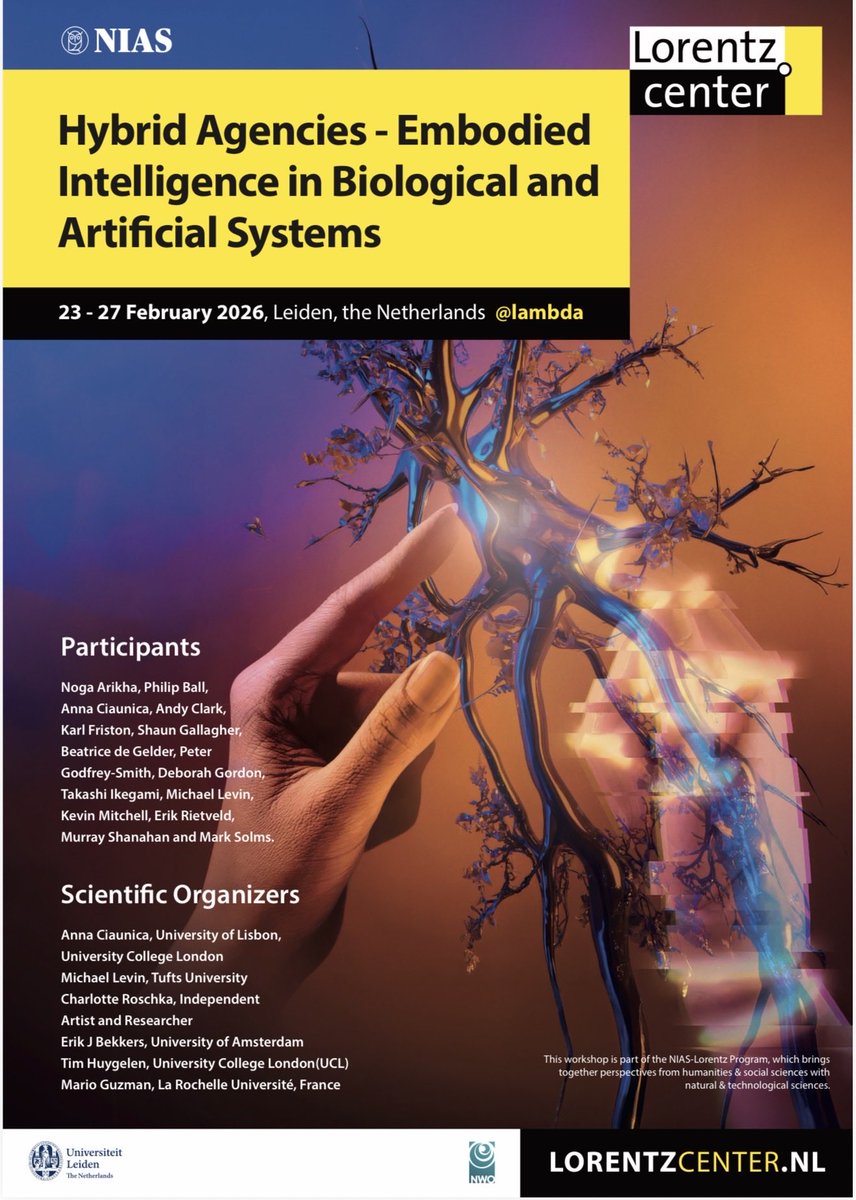 Anna Ciaunica PhD @annaciaunica.bsky.social tweet media