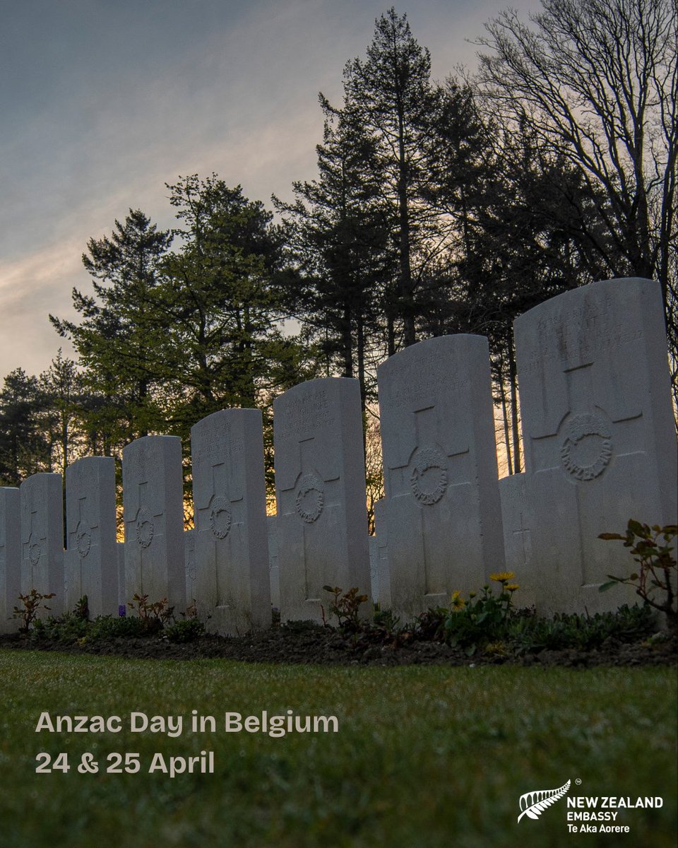 NZ in Belgium tweet media