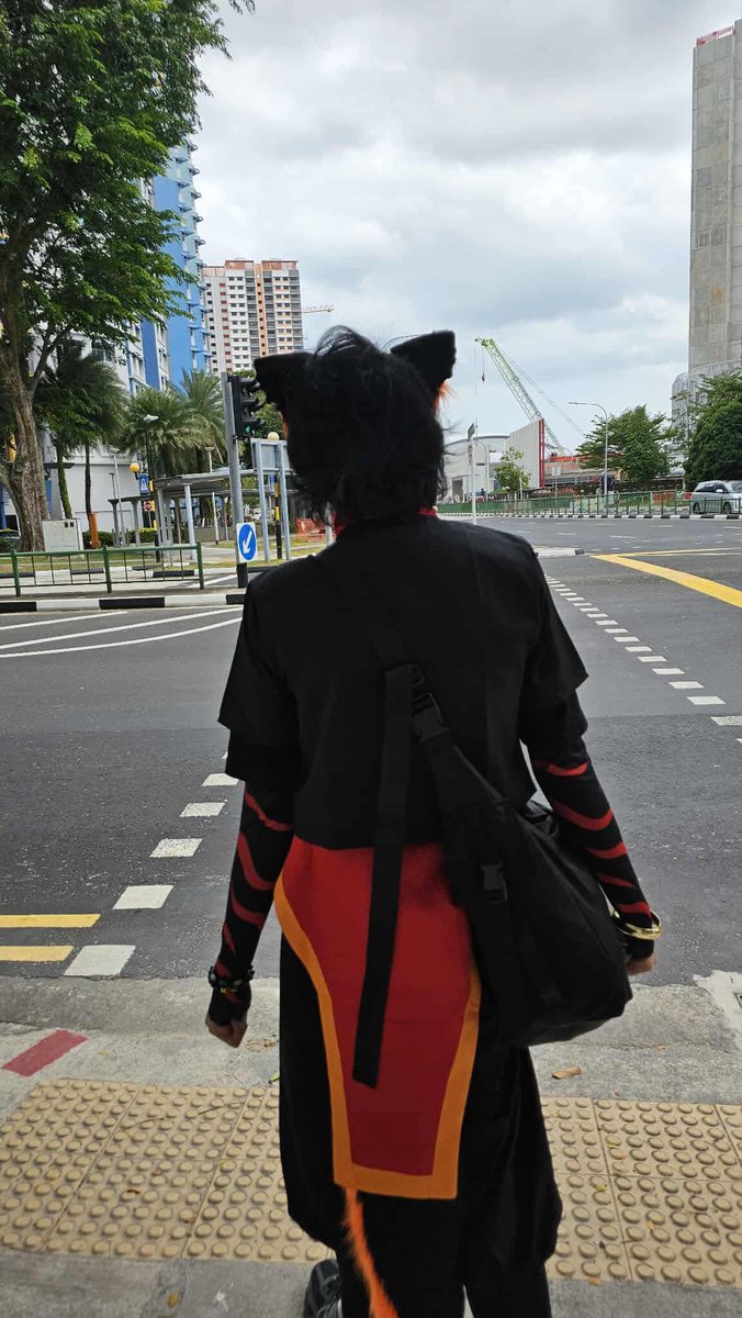 Here at Singapore 🇸🇬 

And yes I am wearing an Aak Cosplay!

Credits to my sister for taking a picture!