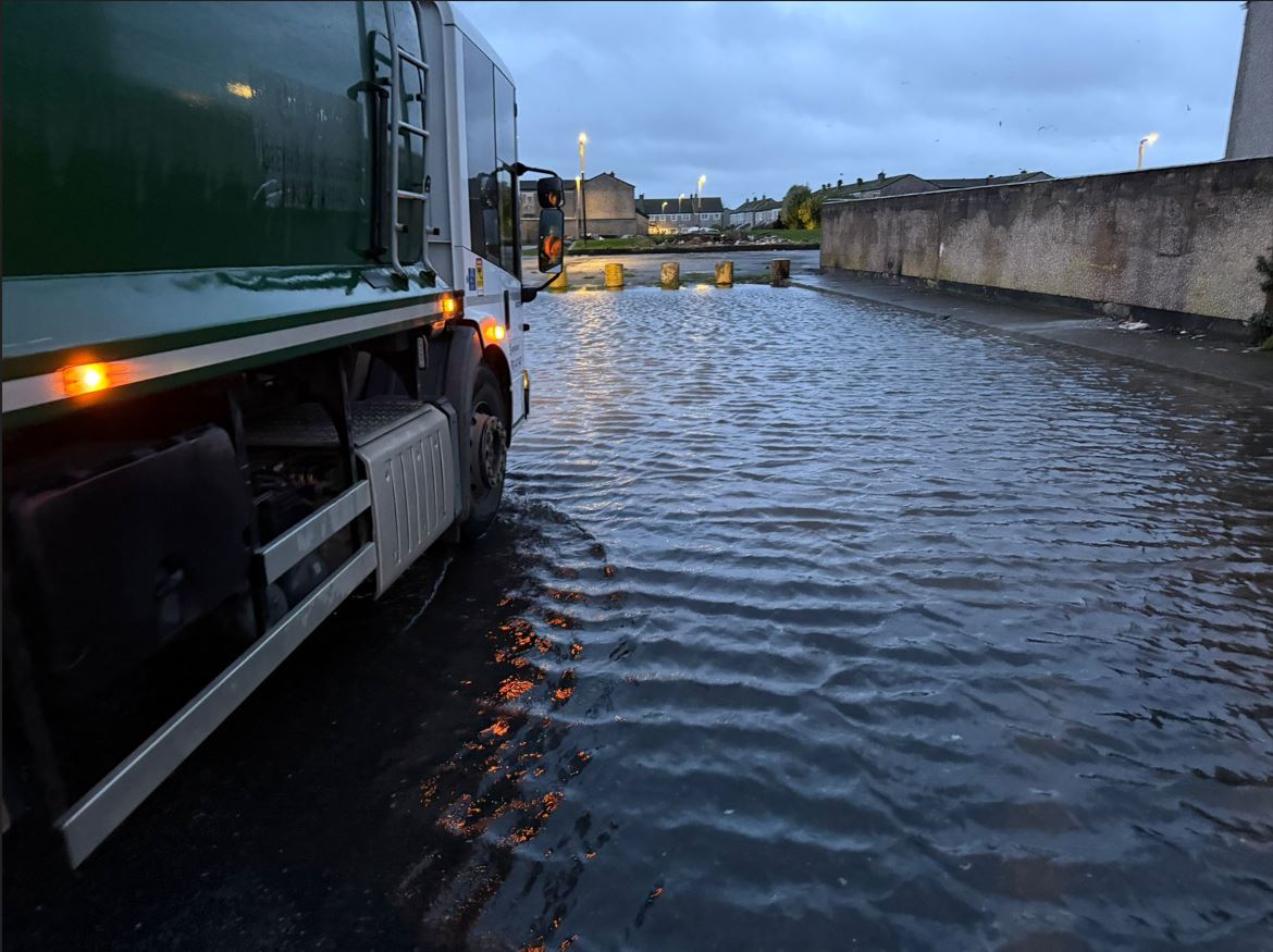 GreyhoundHousehold tweet media