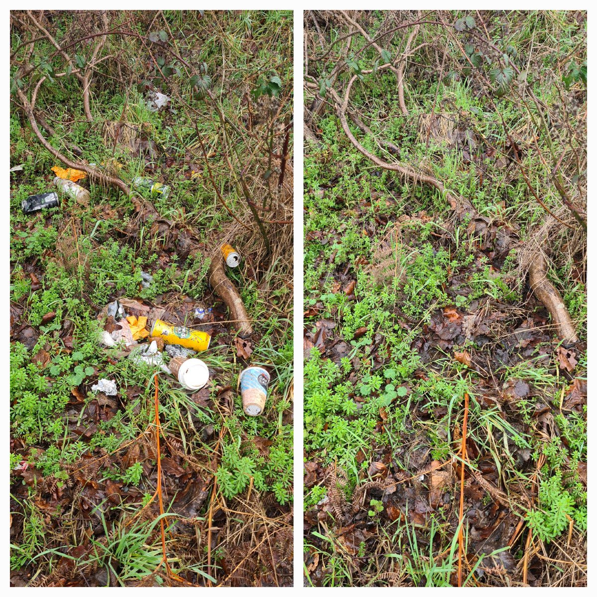 Mike The Litterpicker tweet media