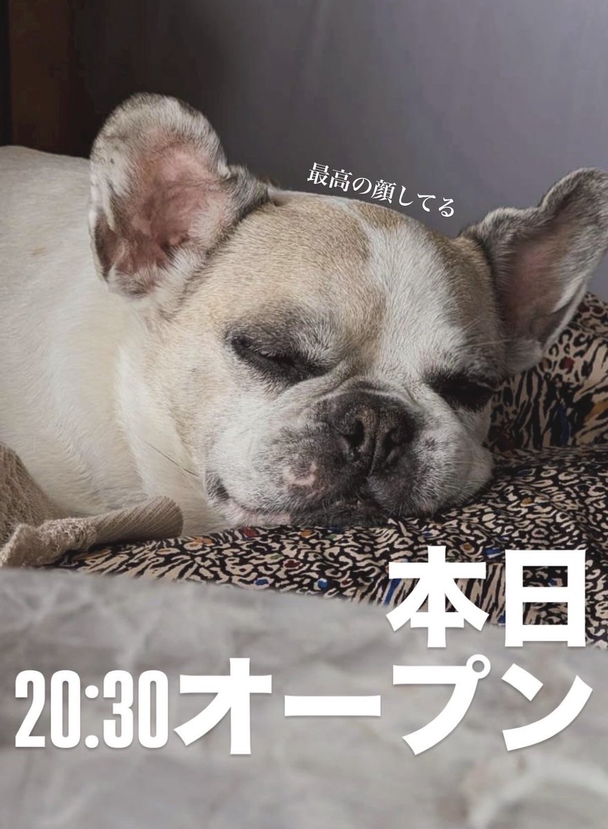 chie_019's tweet photo. https://t.co/TZWLxjcehm
