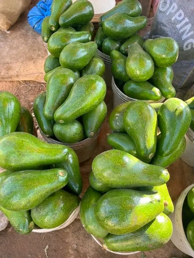 SPICEY ZEE tweet media