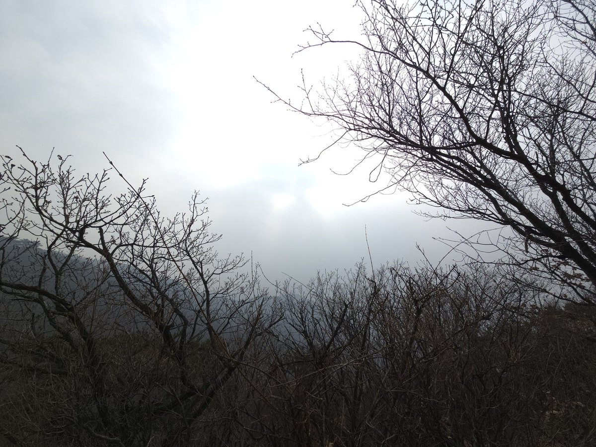 도르마무도르도무(뮤닉키) tweet media