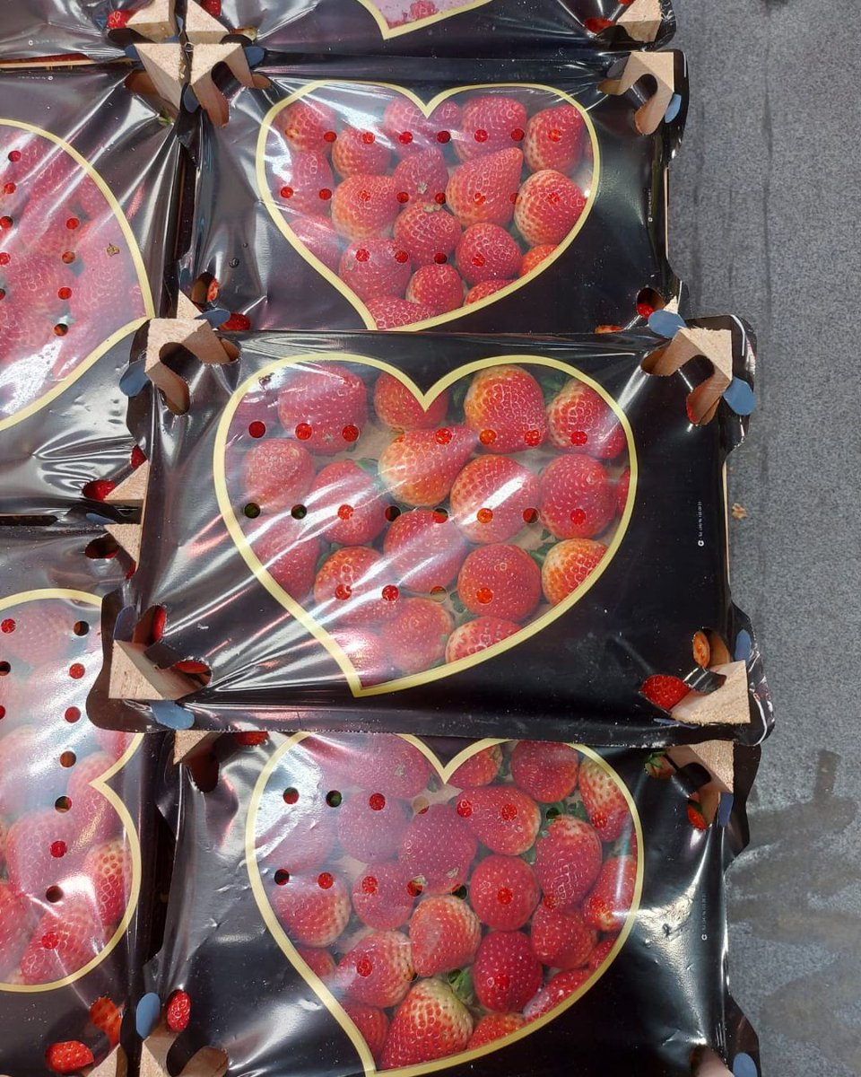 ASOMAFRUT tweet media