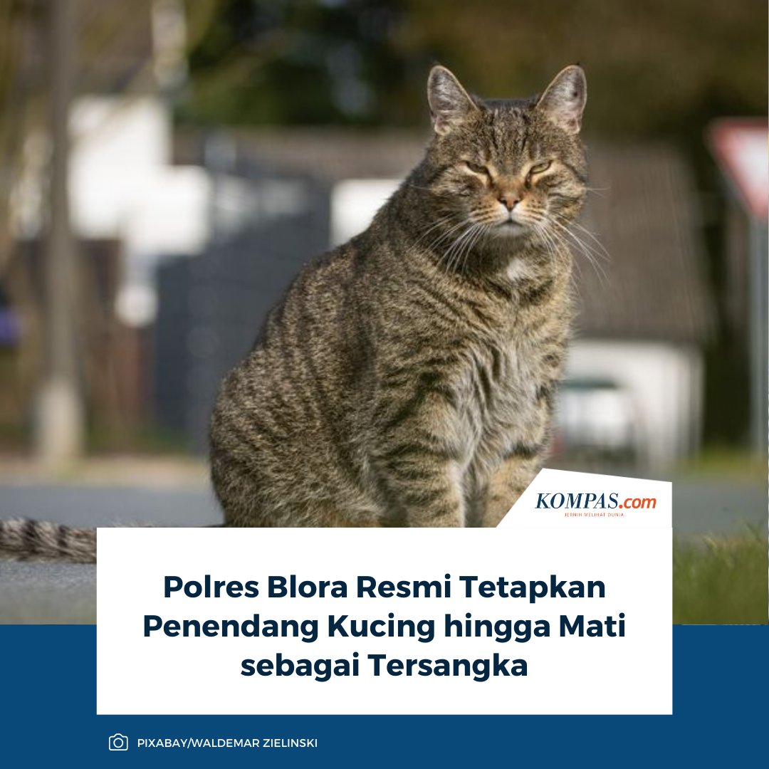 "Pada hari ini Jumat tanggal 13 Februari 2026, sekira pukul 11.00 WIB, penyidik telah menetapkan saudara PJ menjadi tersangka," ucap Kapolres Blora, Ajun Komisaris Besar Polisi (AKBP) Wawan Andi Susanto saat konferensi pers di Mapolres Blora, Jumat (13/2/2026).

Baca