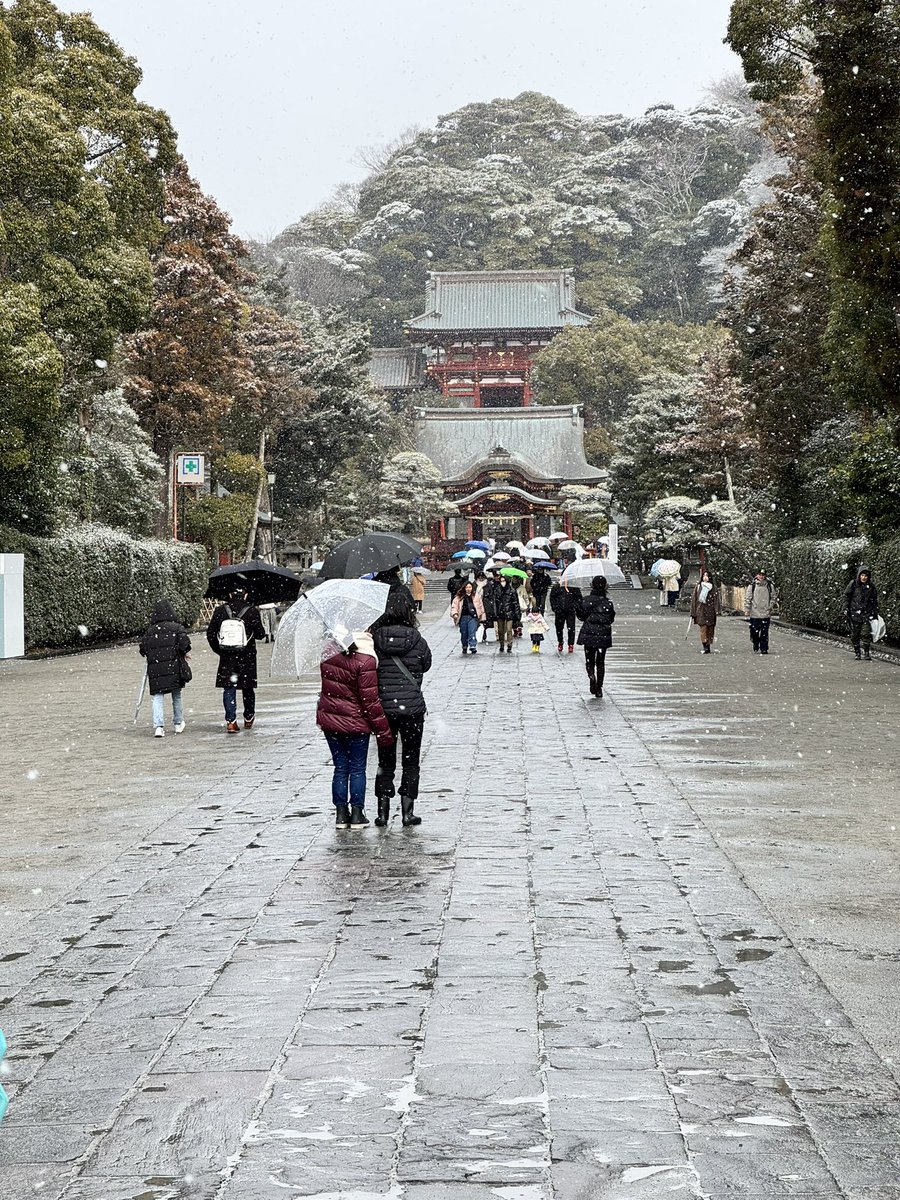 のれん tweet media