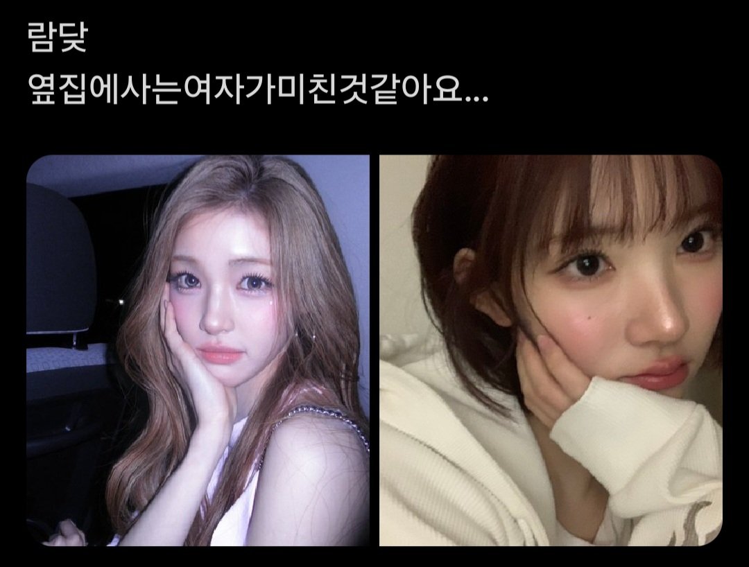 틸 tweet media