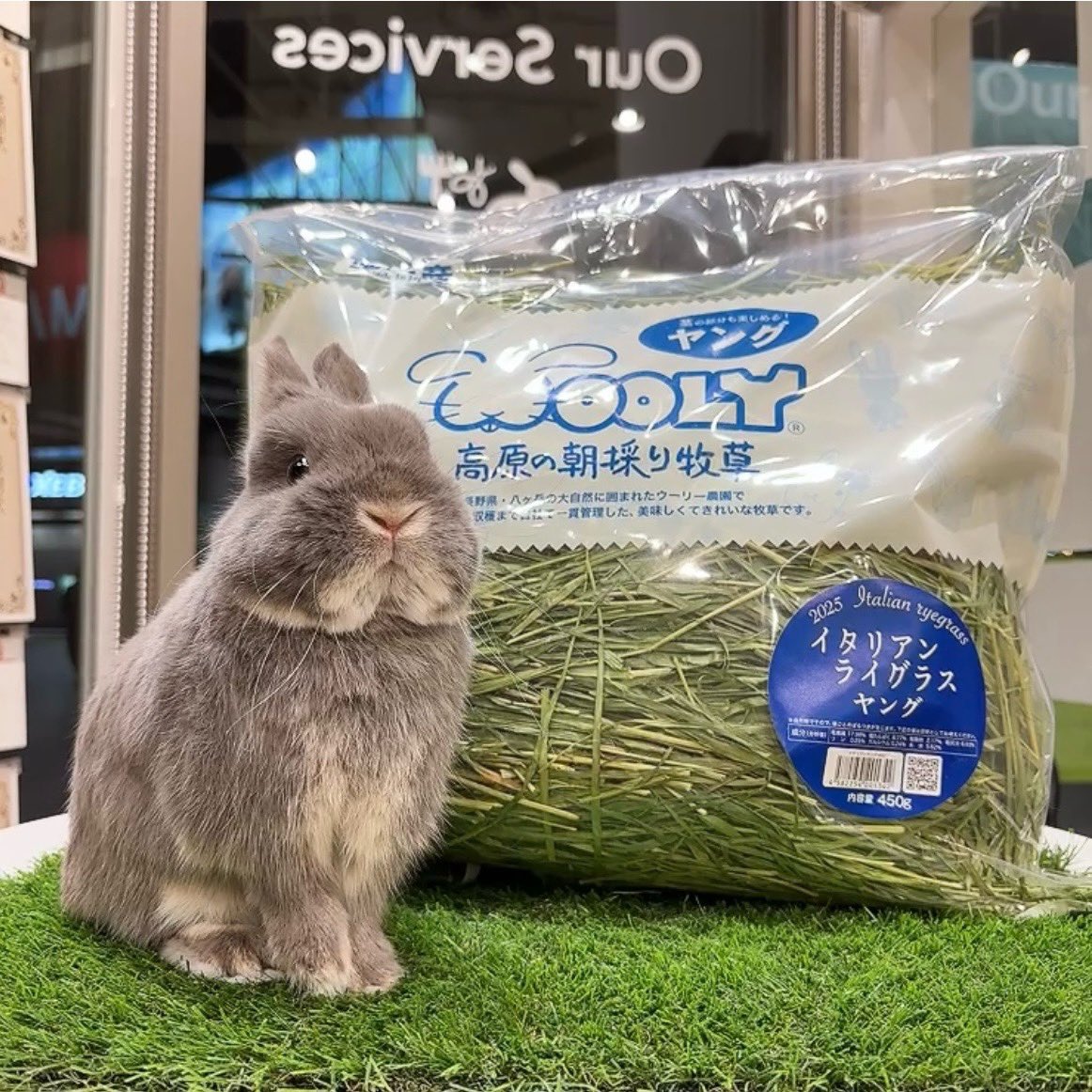 🌱高原の朝採り牧草🌱 イタリアンライグラスヤング 入荷しております