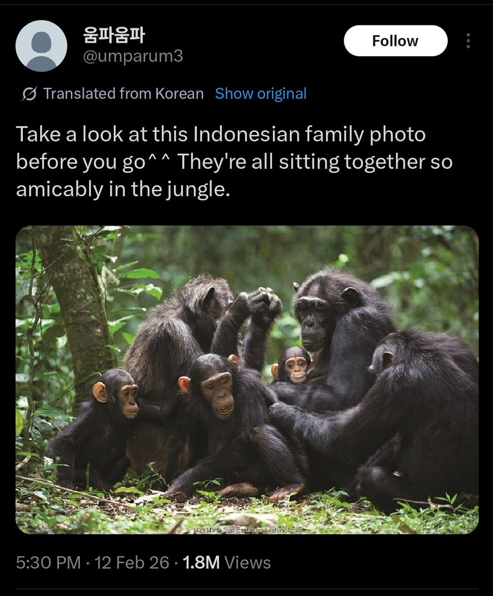 deaphblue's tweet photo. @martabakismissu ini lucu bgt, dikatain kaya monyet malah di gas bjirrr wkwk https://t.co/1BY7Oaievg