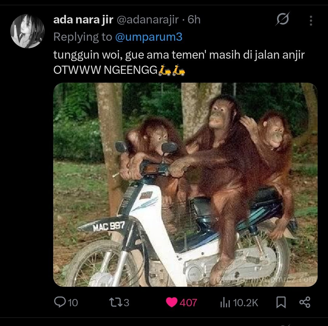 deaphblue's tweet photo. @martabakismissu ini lucu bgt, dikatain kaya monyet malah di gas bjirrr wkwk https://t.co/1BY7Oaievg
