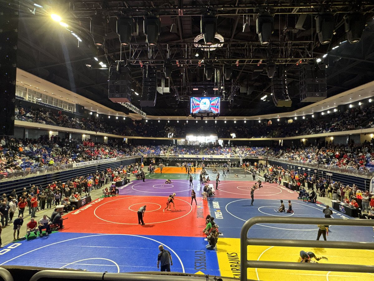 Robert Harrison tweet media