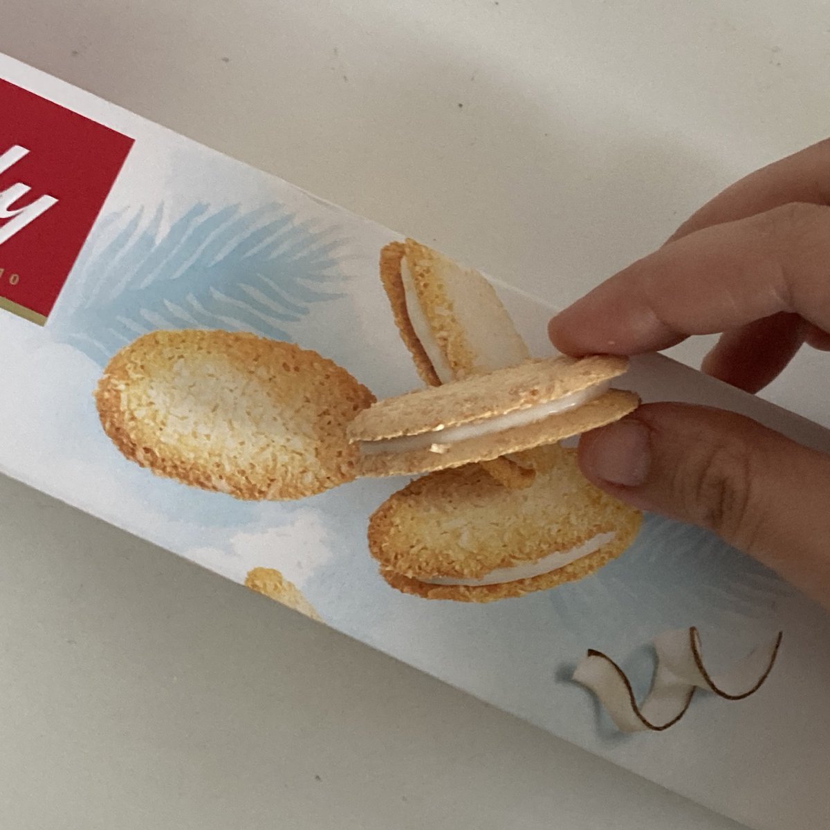 [실키]Silki tweet media