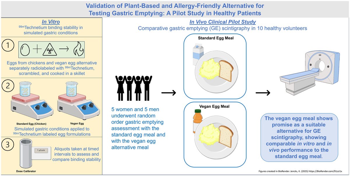 NGMJournal's tweet photo. 🆕🔥A pilot validation study of🌱plant‐based &amp; allergy‐friendly alternative for testing #GastricEmptying #HealthyParticipants‼️
🎯Tested #vegan egg meal appears to be a suitable alternative to standard egg meal for patients who are not able to eat eggs👏
👉https://t.co/nh8RIs34Ob https://t.co/9stcqZ2dzT