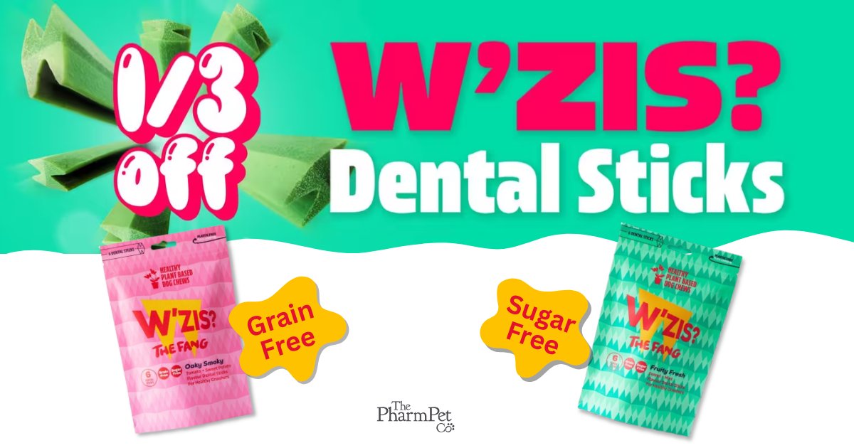 pharmpetco's tweet photo. Treat your pup to a healthier smile! For a limited time, get 1/3 off W'Zis? Dental Sticks at The PharmPet Co.

Made with plant-based, grain-free ingredients, these dental sticks are hypoallergenic &amp; low in calories.

Shop here: https://t.co/CVO75NhoVS

#DogLovers #dogtreats #wzis https://t.co/A6pt7Fvl7E