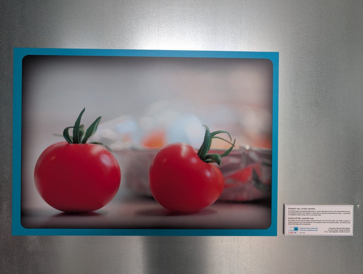 Sustainable Agro-food Materials group tweet media