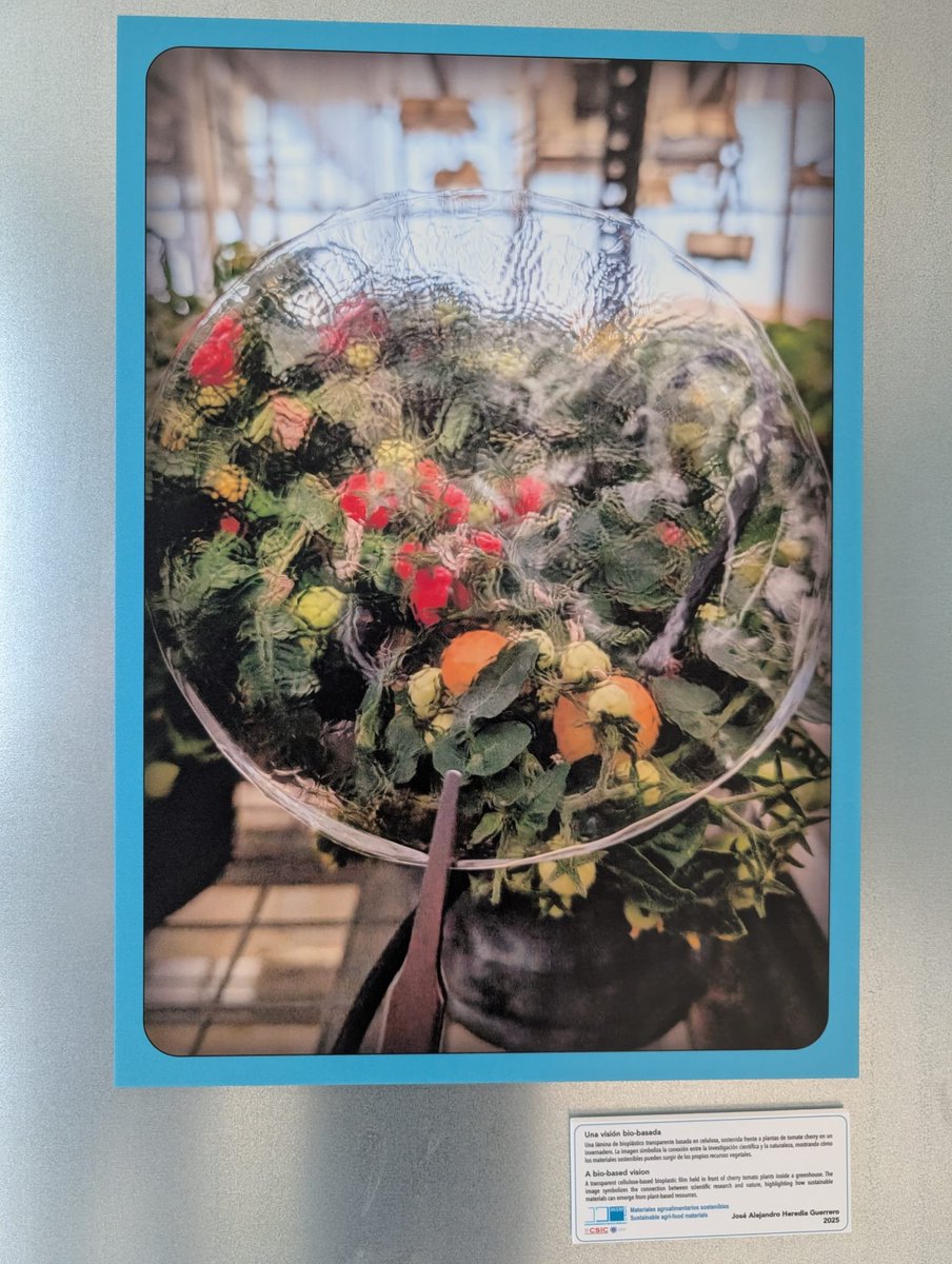 Sustainable Agro-food Materials group tweet media