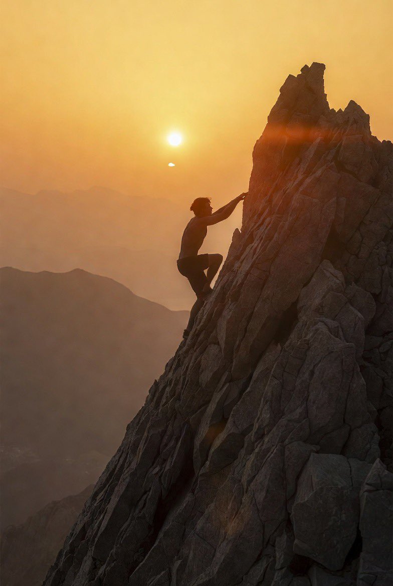 spaghetti tweet media