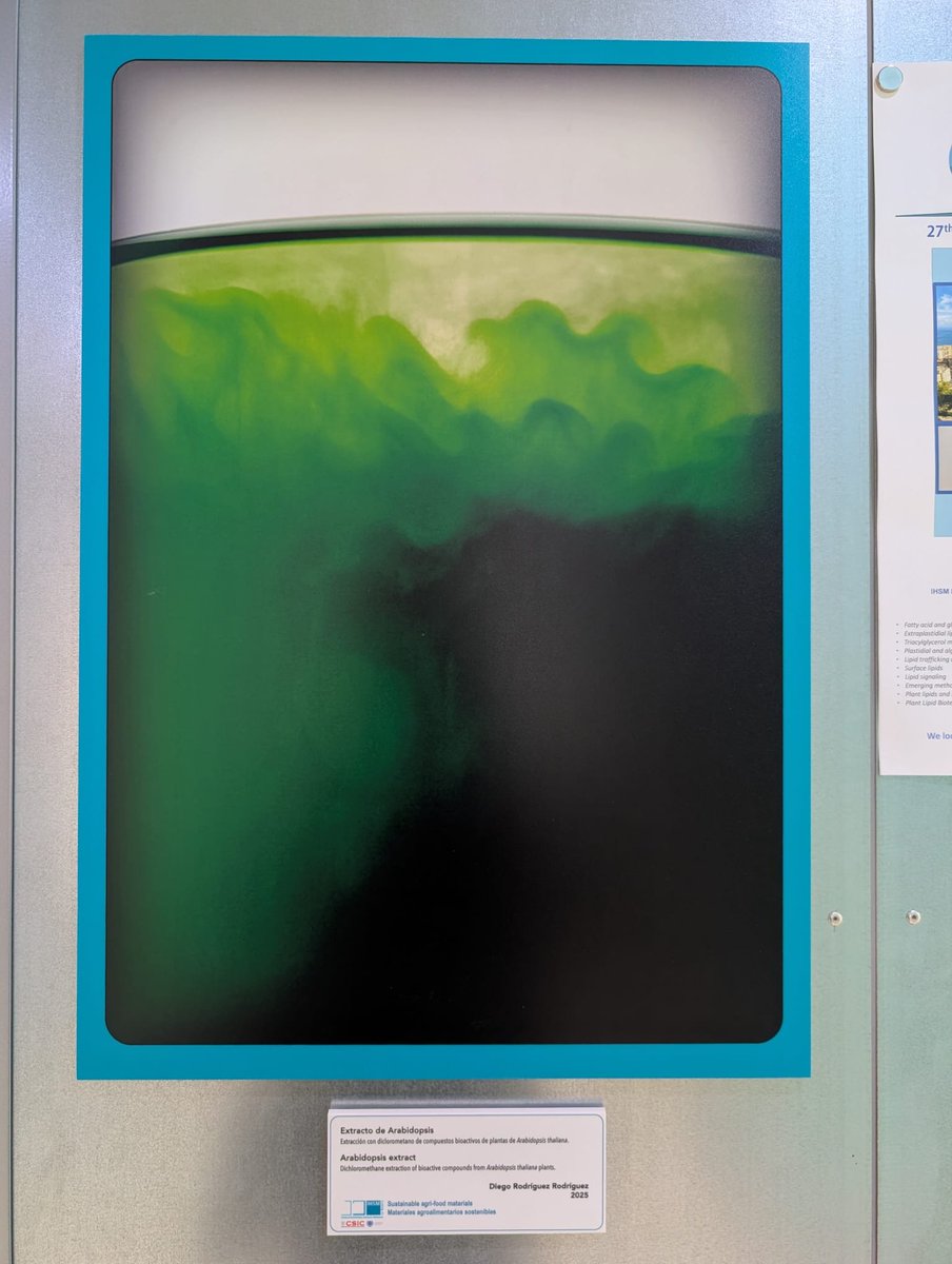 Sustainable Agro-food Materials group tweet media