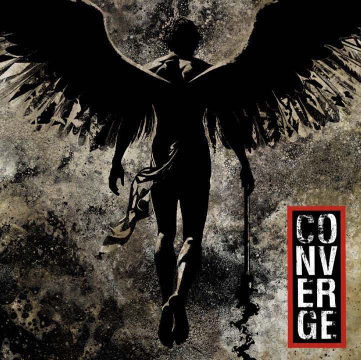 shannon mae ♡︎ tweet media