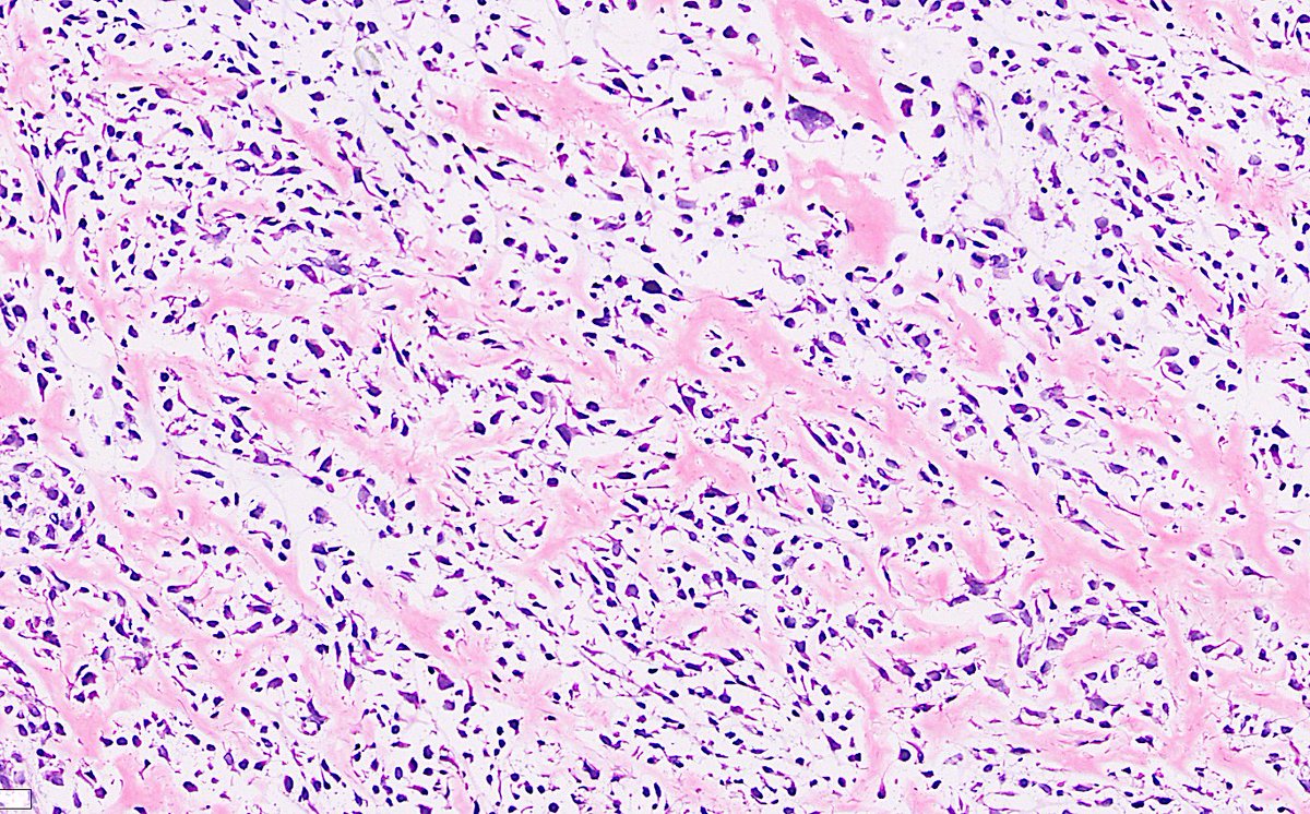 Sumanta Das tweet media