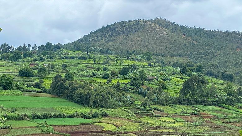 Discover why Burundi is East Africa’s best-kept secret. Click now to explore nature, culture, and more! primeugandasafaris.com/burundi-safari… #primeugandasafaris #burundisafari #burunditour #burundisafaris #burunditours