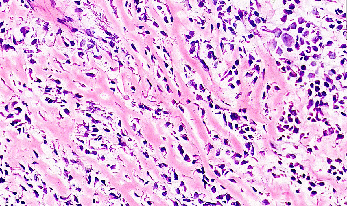 Sumanta Das tweet media