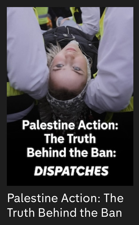 Katie Arnold tweet media