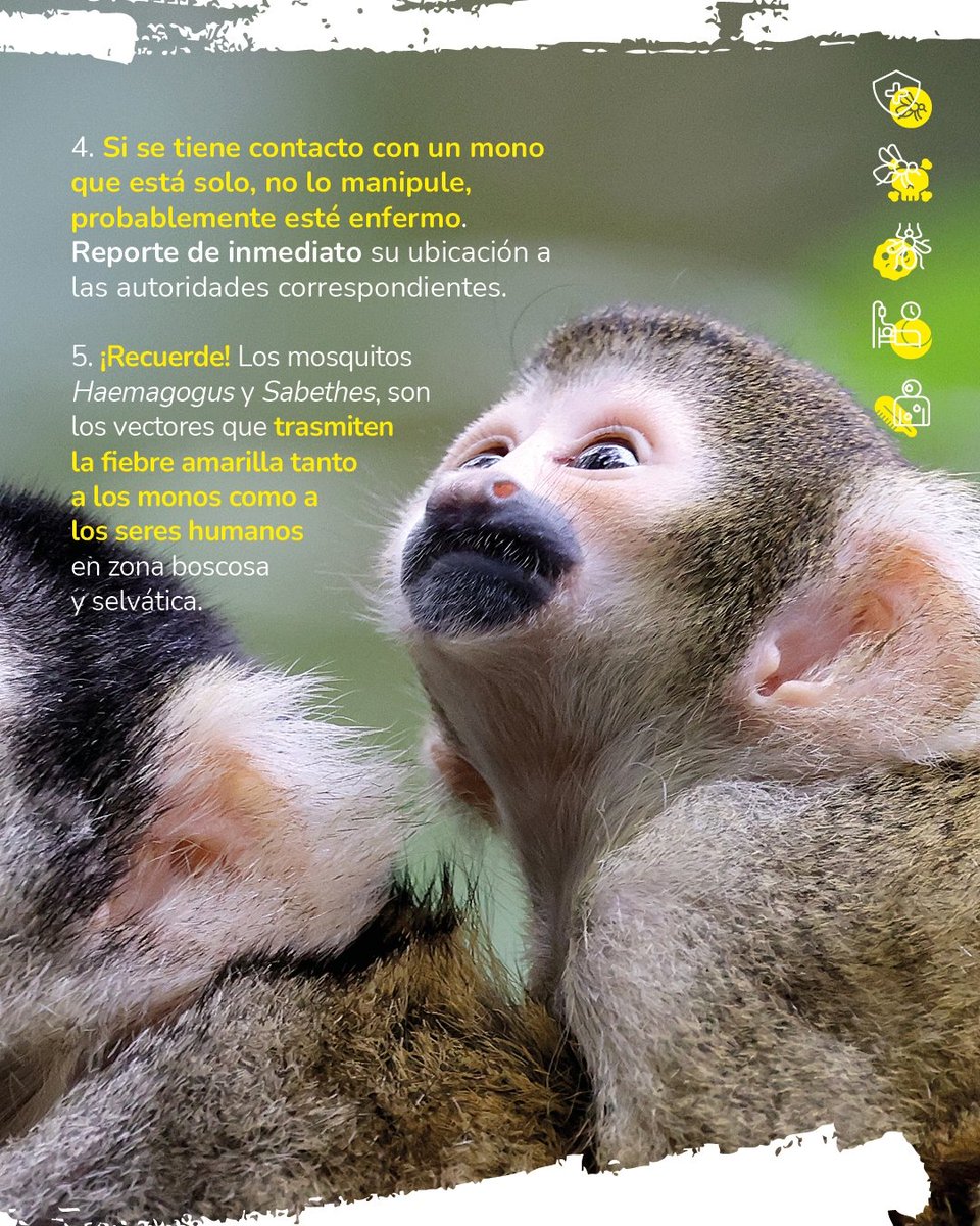 Instituto Nacional de Salud🇨🇴 tweet media