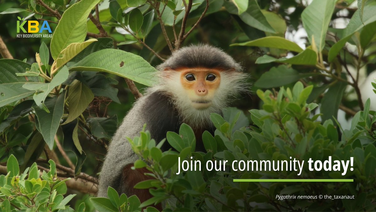 Key Biodiversity Areas tweet media
