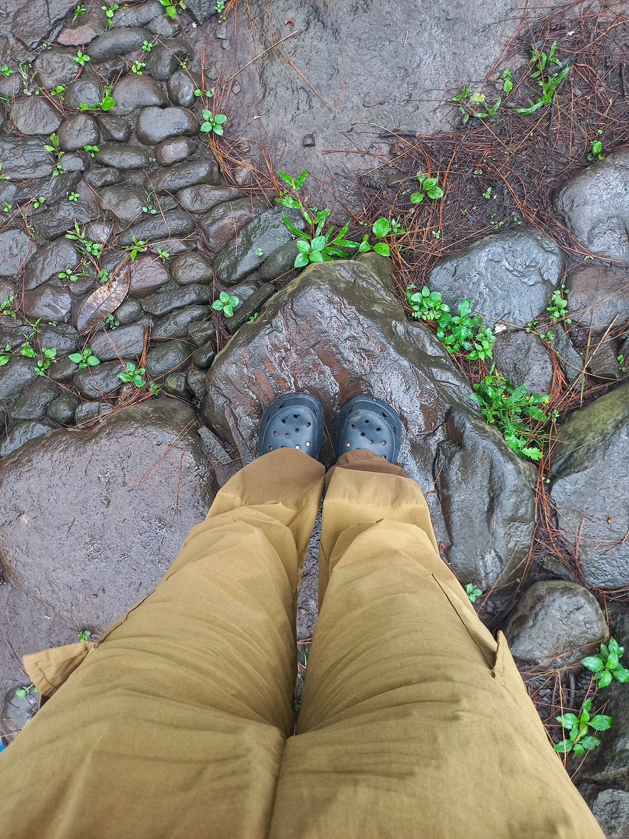 ive 🦋 tweet media