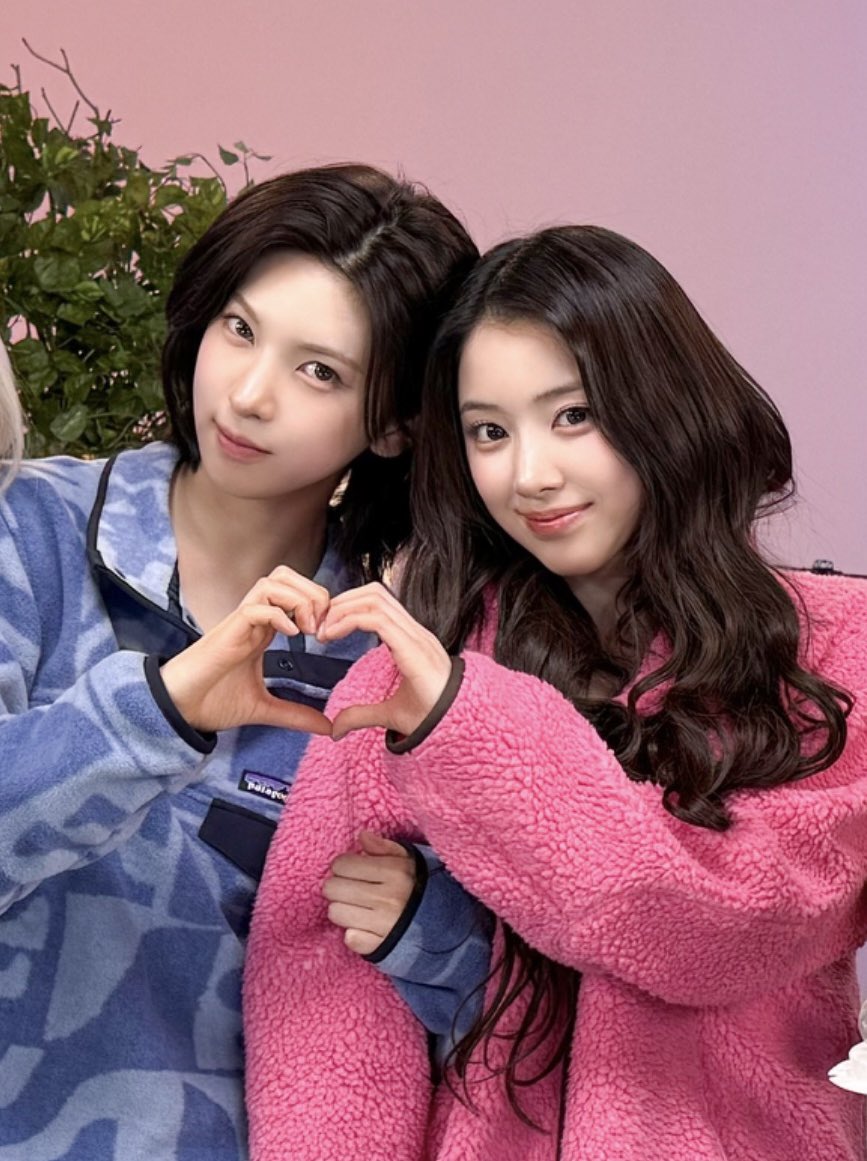 Puddingwine (@maki1216__) on Twitter photo 